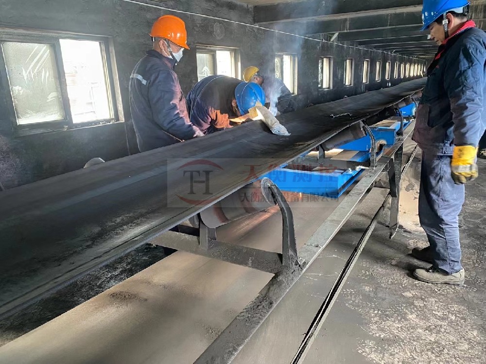 青岛热电厂皮带秤项目