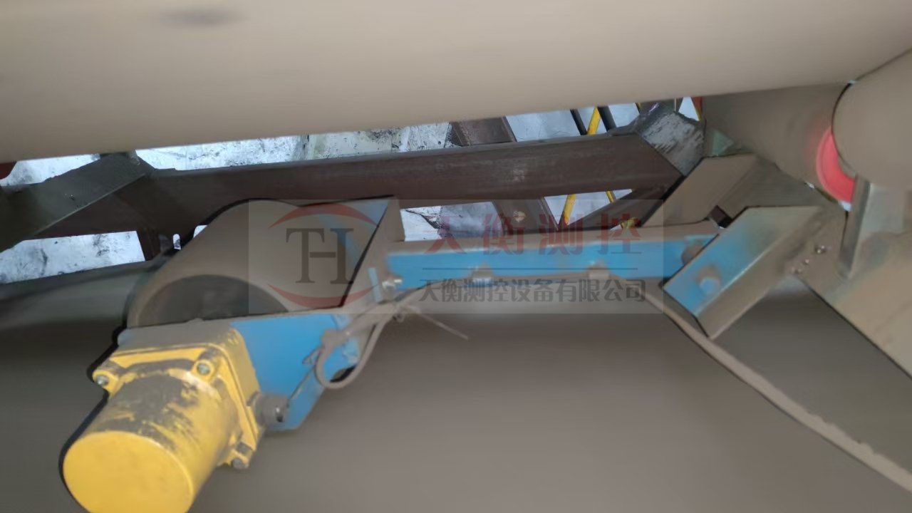 环保公司皮带秤现场