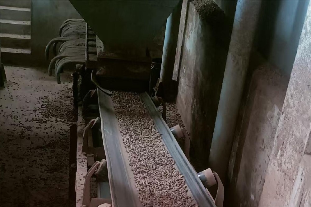 海南环保科技公司皮带秤现场