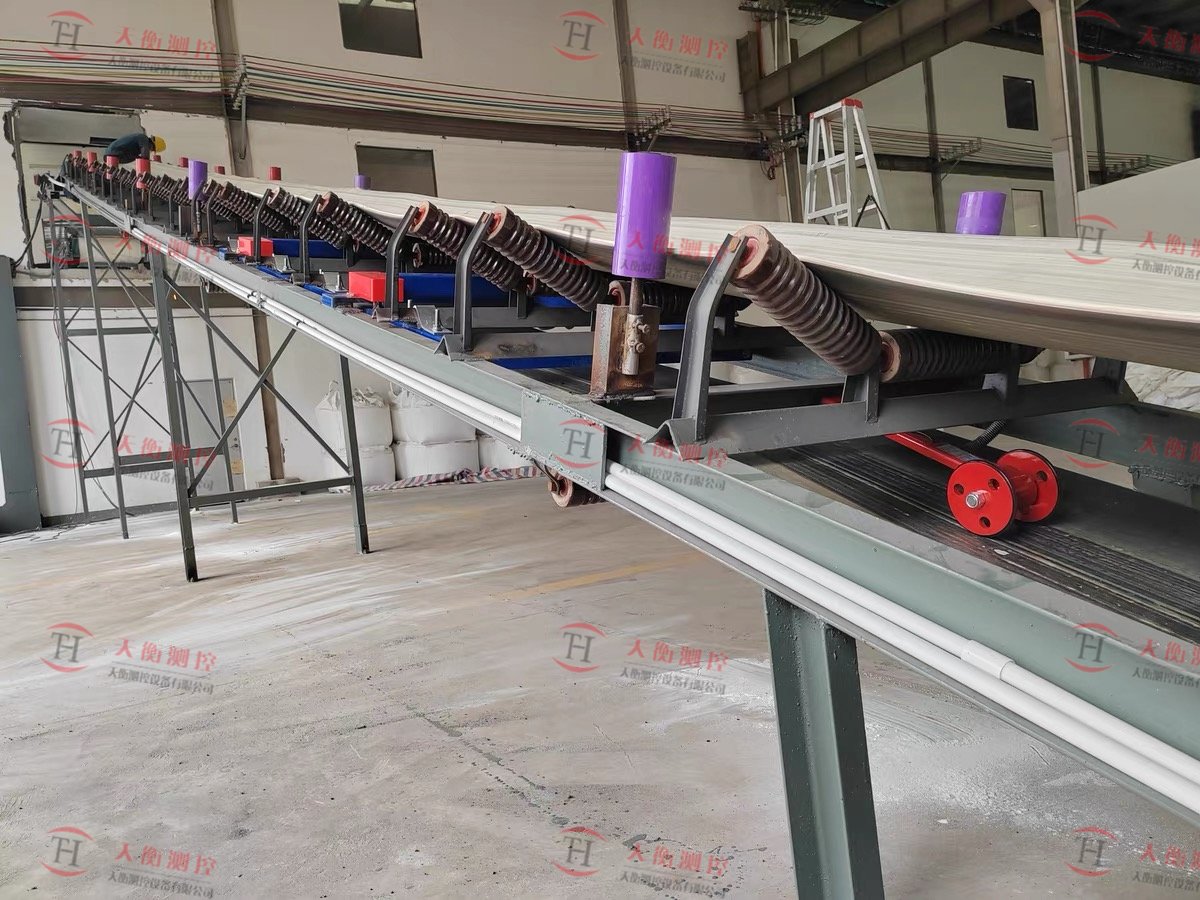 湖南皮带秤现场