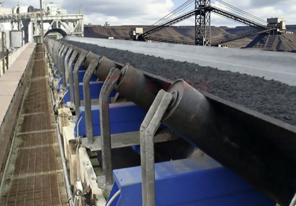 TH-ICS-ZL/6高精度皮带秤