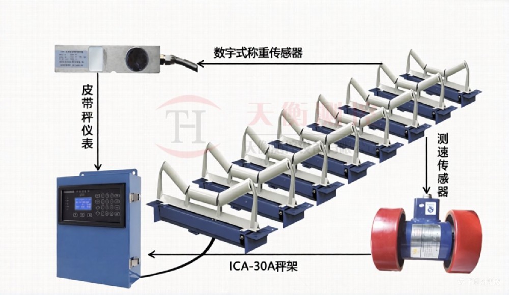 TH-ICS-ZL/8高精度皮带秤
